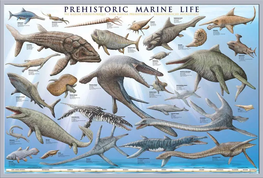 Affiche Vie Préhistorique sous Vitre Acrylique et Cadre Shinsuke Argenté