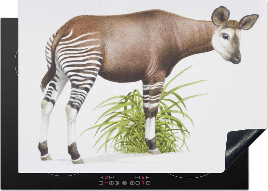 KitchenYeah© Herdabdeckplatte Illustration eines Okapis , Produktbild 