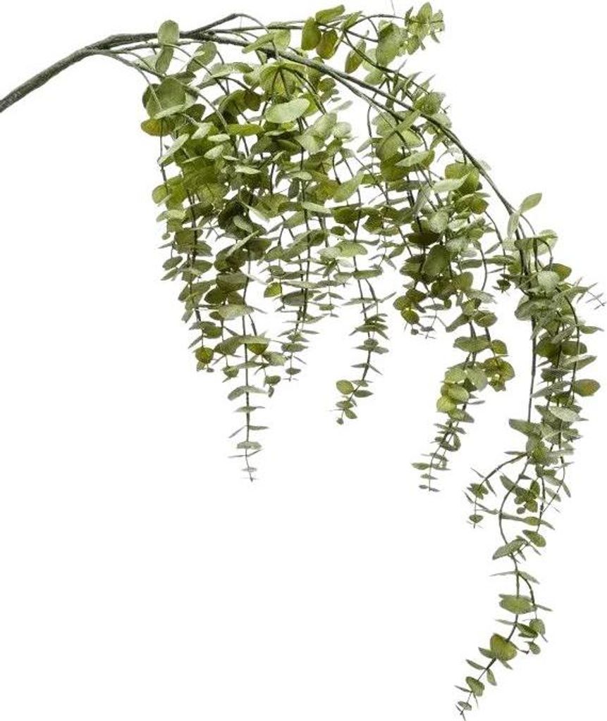 Emerald Künstliche hängender Eucalyptus Zweig - Guido | 120 cm, für drinnen, Kunstbaum, wie echt, Allergiker geeignet, pflanzliche Dekoration Pr...
