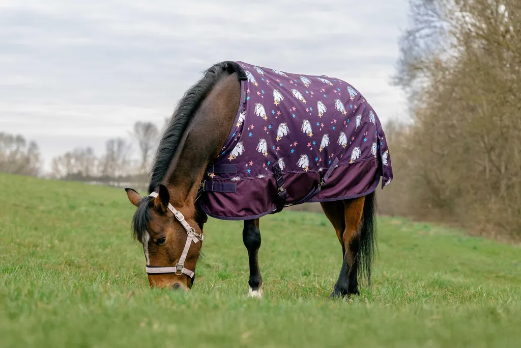 Coperta Cavallo Esterno Equitheme 600D 220g - Misura 110cm Unicorno