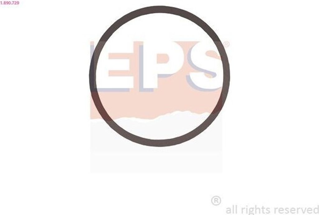 EPS Dichtung Thermostat 1.890.729