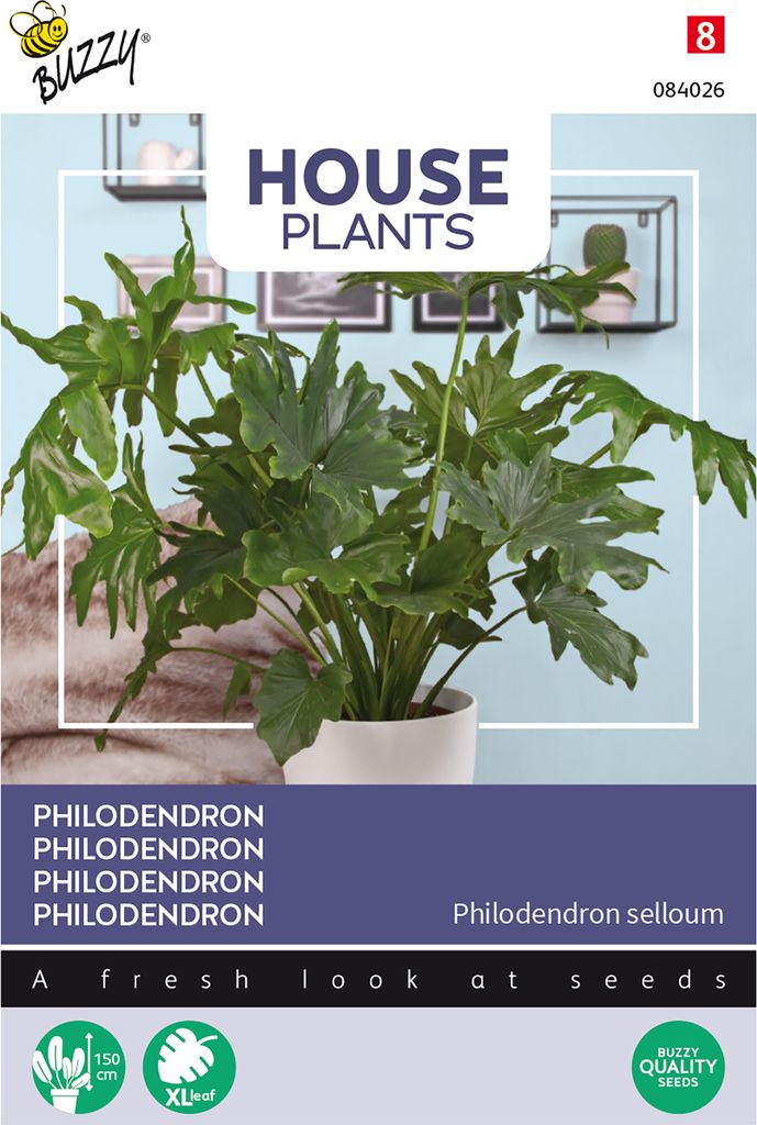 Buzzy House Plants Philodendron Selluom Samen - Ca. 20 Samen | Buzzy_084026