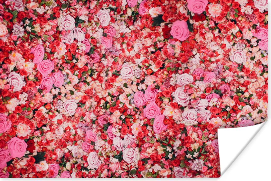 MuchoWow Poster Blumen - Farben - Rosen 30x20 cm - Plakate - Print