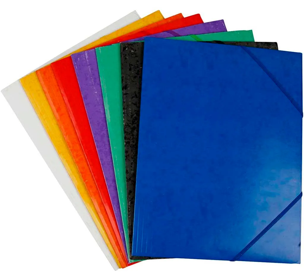 Classeur à anneaux 24 pcs : finissez-en avec le désordre de vos papiers