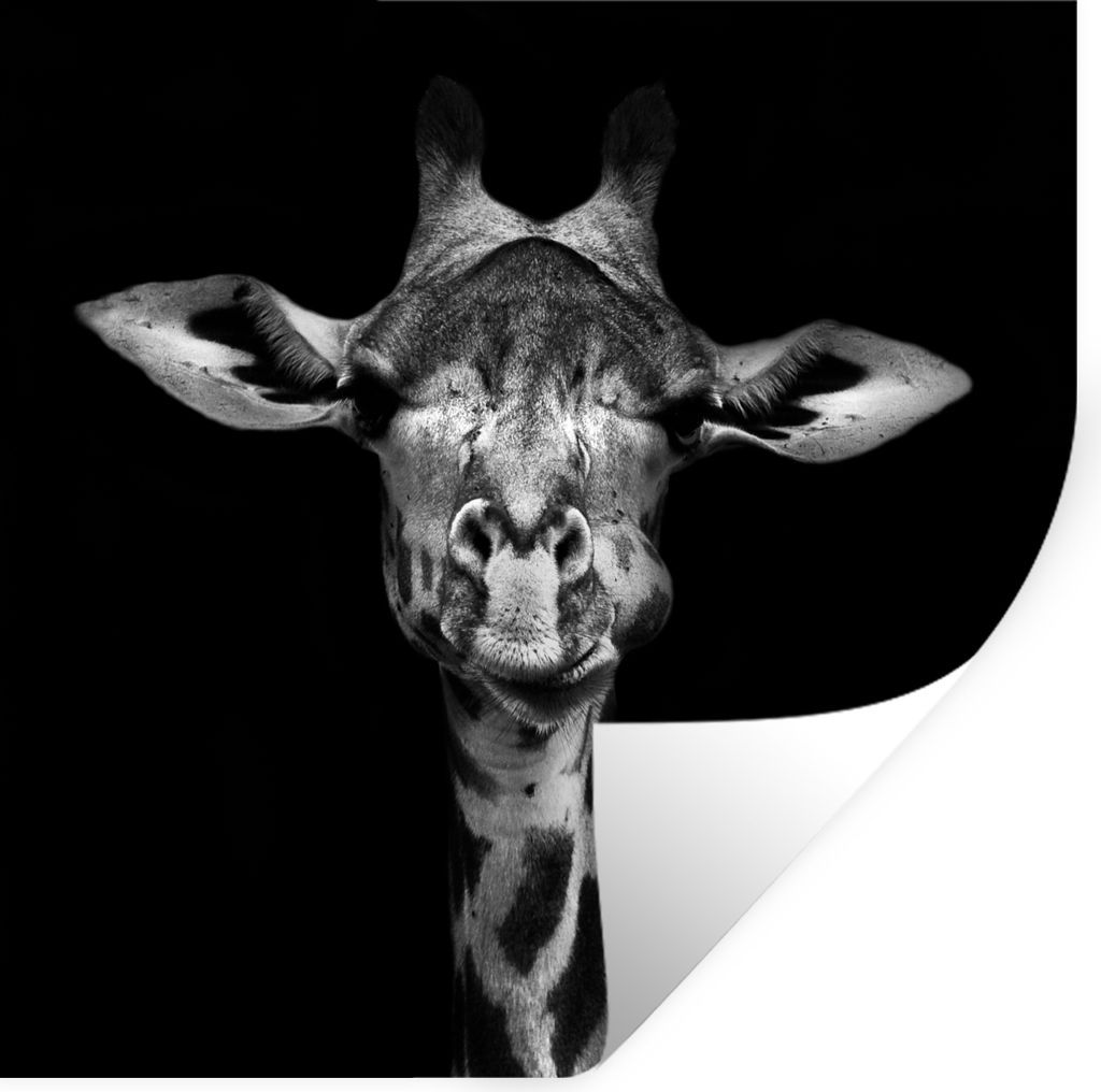 MuchoWow Wandtattoo Wandsticker Wandaufkleber Giraffe - Porträt - Tiere - Schwarz - Weiß 80x80 cm Selbstklebend und Repositionierbar - Wierderv...