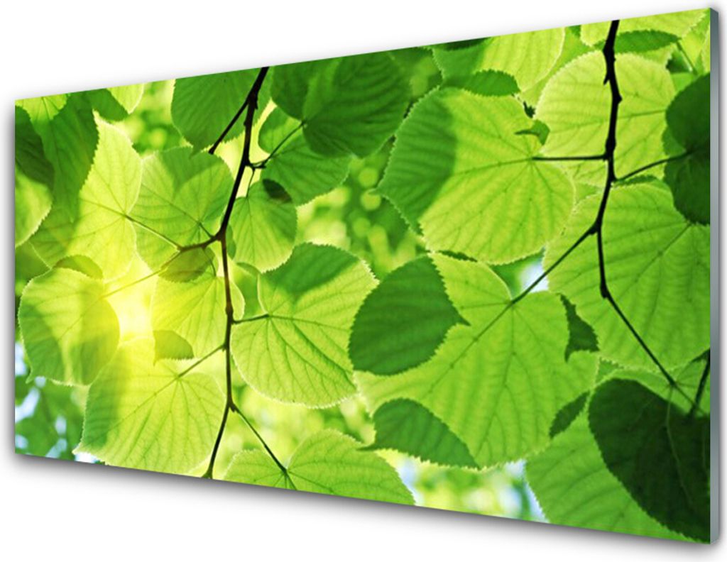 Acrylglasbilder 100x50 Wandbild Druck Blätter Pflanzen