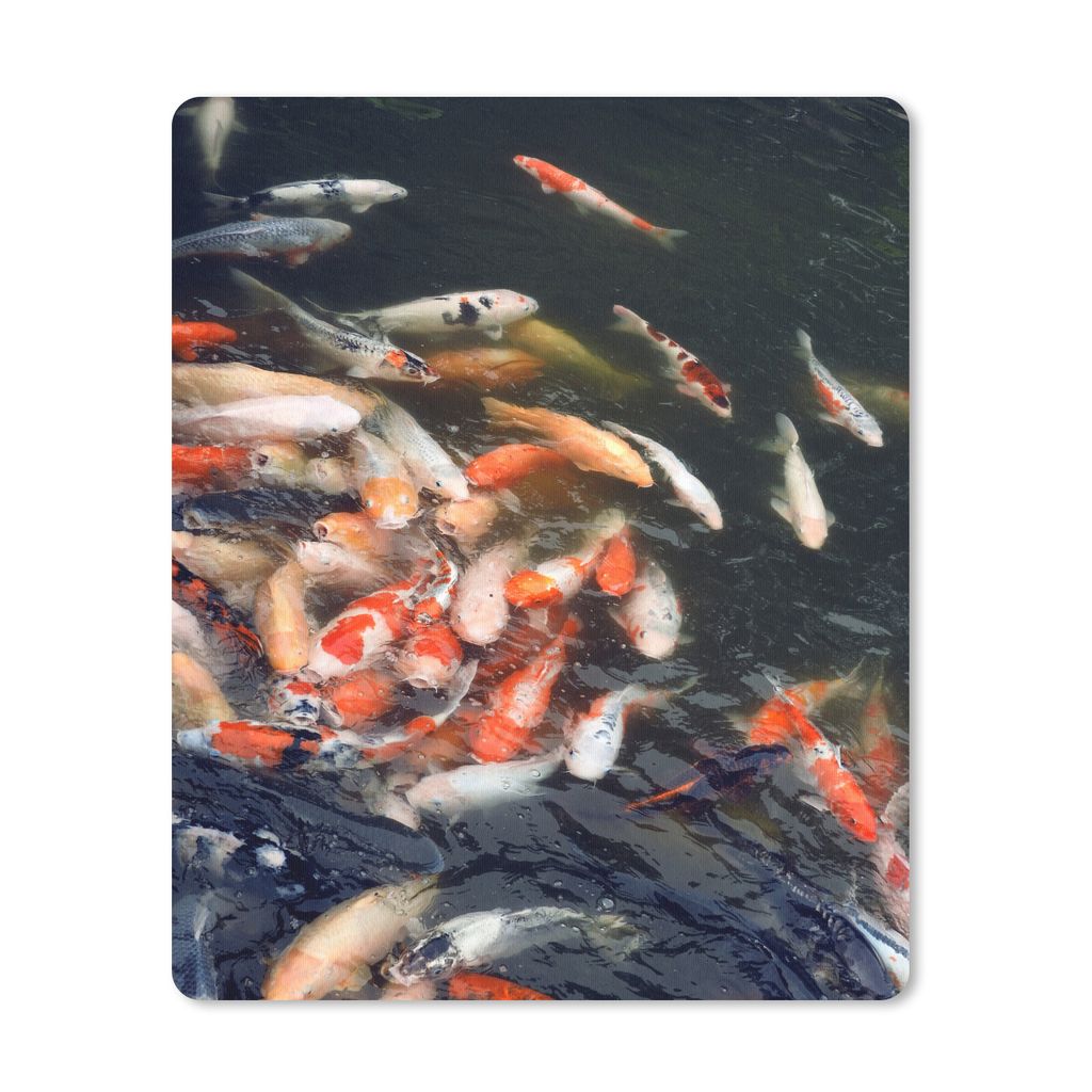 MuchoWow Mauspad Mousepad Ein voller Teich mit Koi-Karpfen 19x23 cm - Mousepads - Maus Mat - Pad - Mausunterlage - Mauspads - Spielen