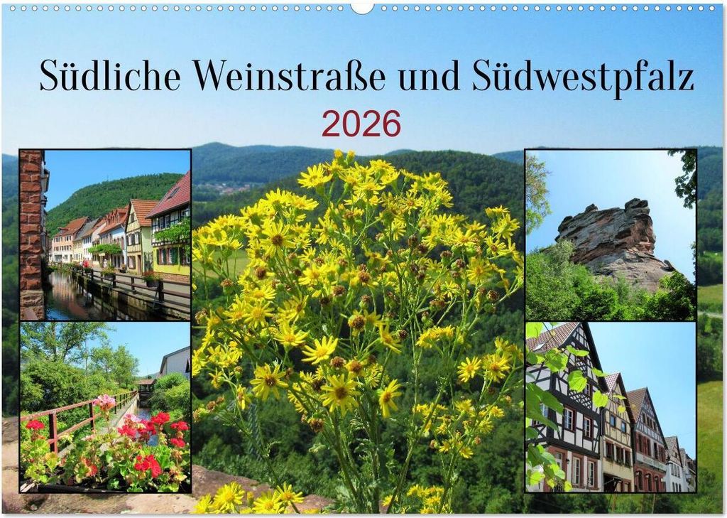 Südliche Weinstraße und Südwestpfalz (Wandkalender 2026 DIN A2 quer), CALVENDO Monatskalender