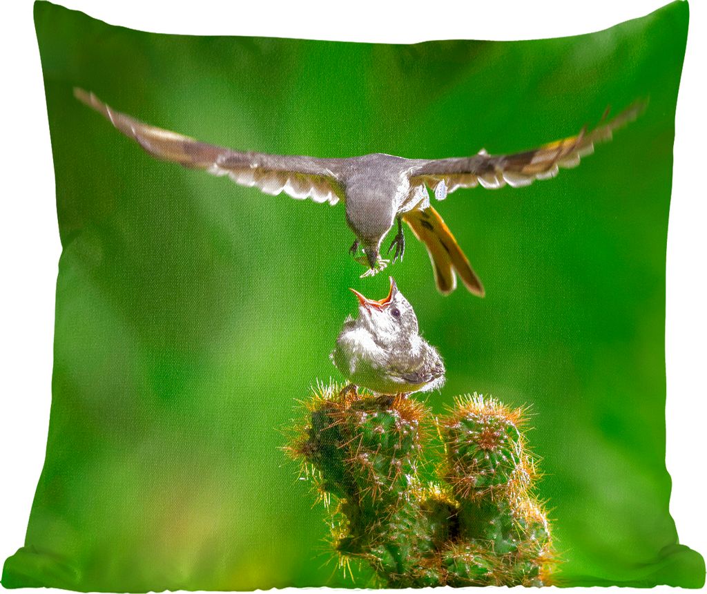 MuchoWow Zierkissen Sofakissen Wohnzimmer Dekokissen 45x45 cm Vogel füttert seine Jungen - Schlafpolster - Polster für das Sofa