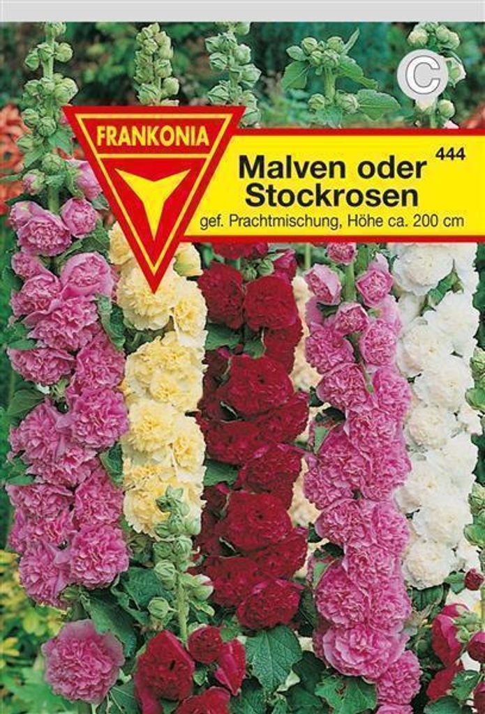 Stockrosen Malven Produktbild 