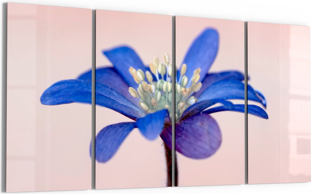 DEQORI Glasbild Echtglas 4x30x60 cm 'Blaue Eleganz' Wandbilder XXL groß