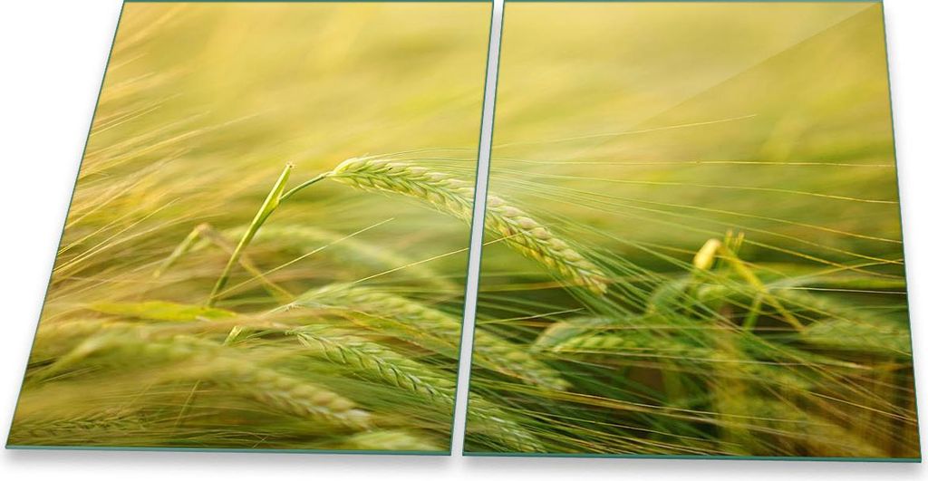 Herdabdeckplatte Glaskeramik 2-Teilig 2x40x52 Natur Grün Abdeckung Spritzschutz Glas