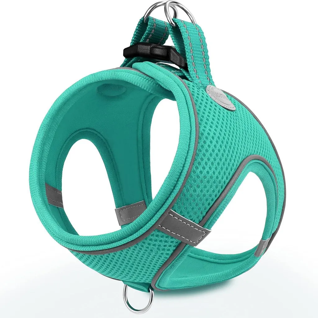 Offerta Joytale Pettorina S Turchese: Comfort Air Mesh a Prezzo Top