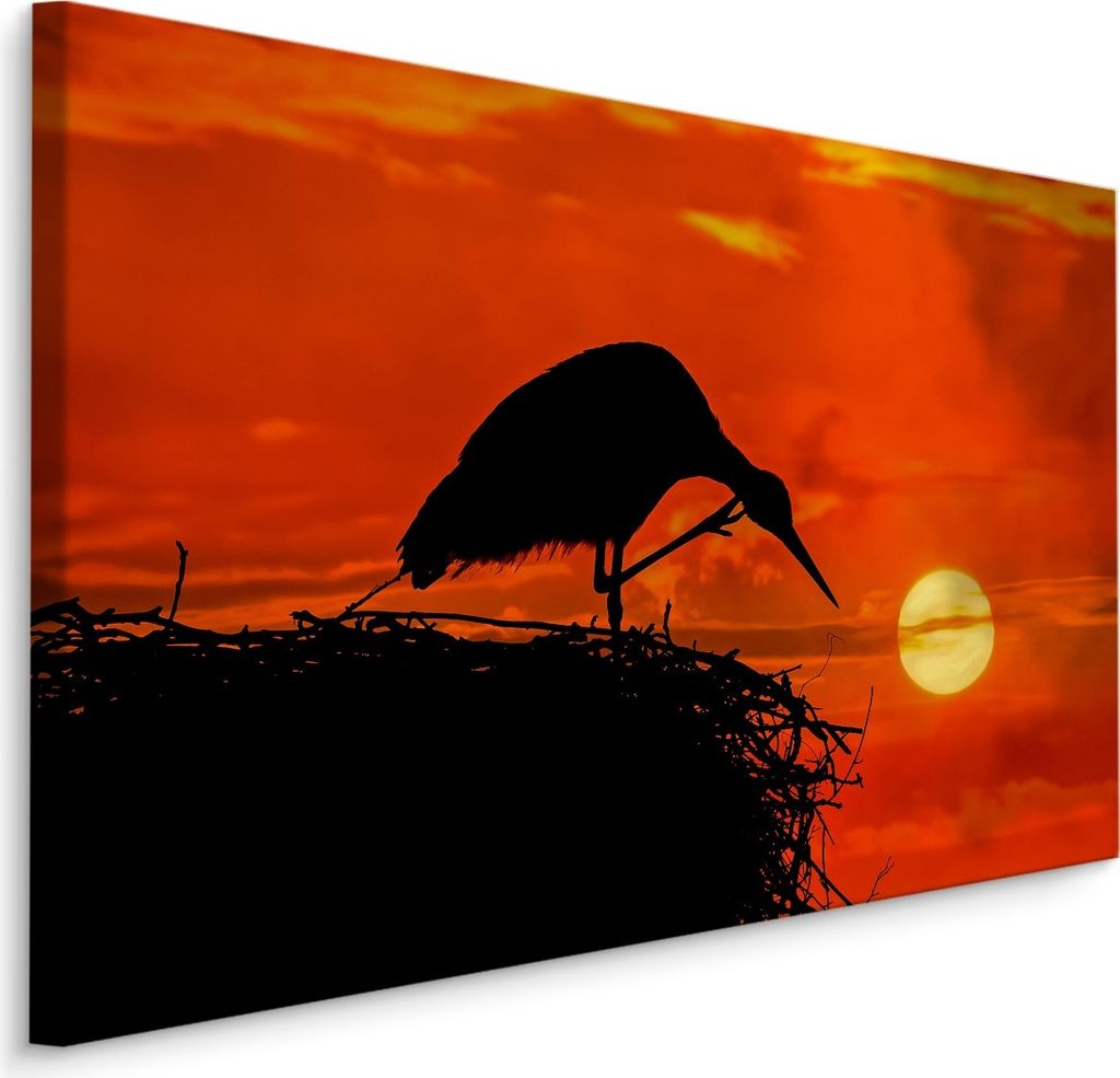 Fabelhafte Canvas LEINWAND BILDER 90x60 cm XXL Kunstdruck Vogel Storch Nest Sonne