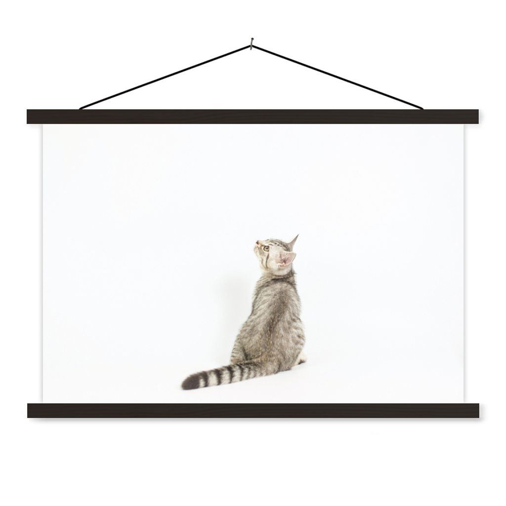 MuchoWow Textilposter Katze - Haustiere - Fell 120x80 cm mit schwarzem Rahmen - Wanddeko