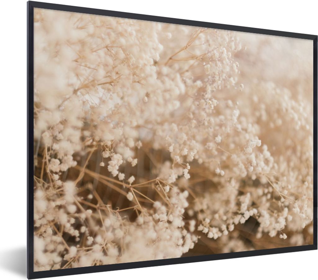MuchoWow Gerahmtes Poster Pampasgras - Pflanze - Natur 80x60 cm - Poster mit Schwarzem Bilderrahmen Wandposter Rahmen Foto Bilder - Schwarzem - M...