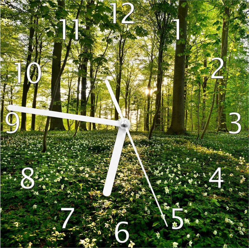 Wallario Design Wanduhr Waldanemonen und Sonnenstrahlen im Wald aus Echtglas, Größe 20 x 20 cm