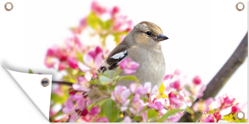 MuchoWow 60x30 cm Outdoor-Poster Gartendeko Sichtschutz Garten Poster für den Garten Vogel zwischen rosa Blumen