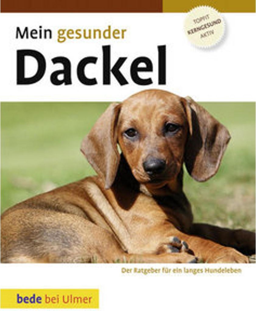 Mein gesunder Dackel