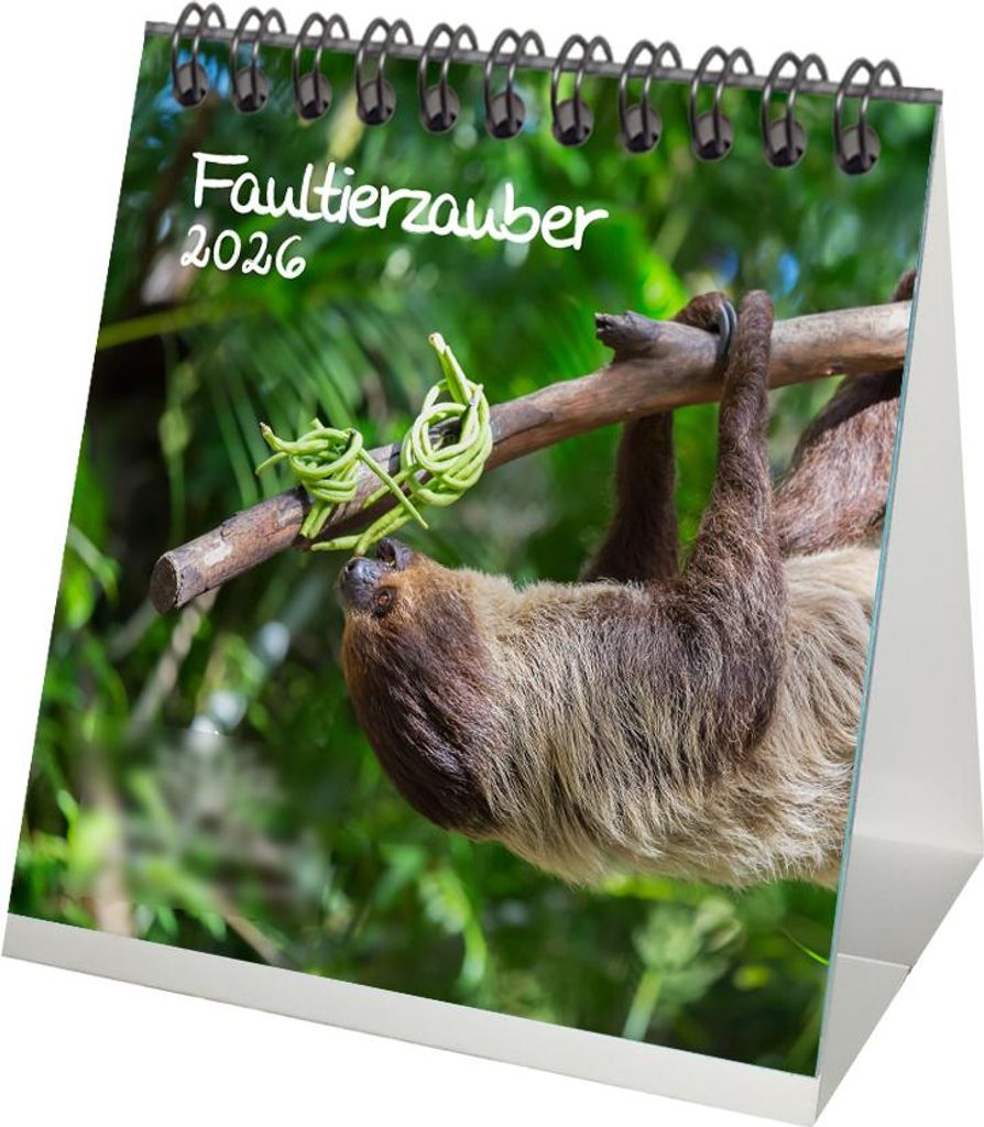 Faultierzauber Tischkalender 10cm x 10cm für 2026 Südamerika Urlwald- Seelenzauber
