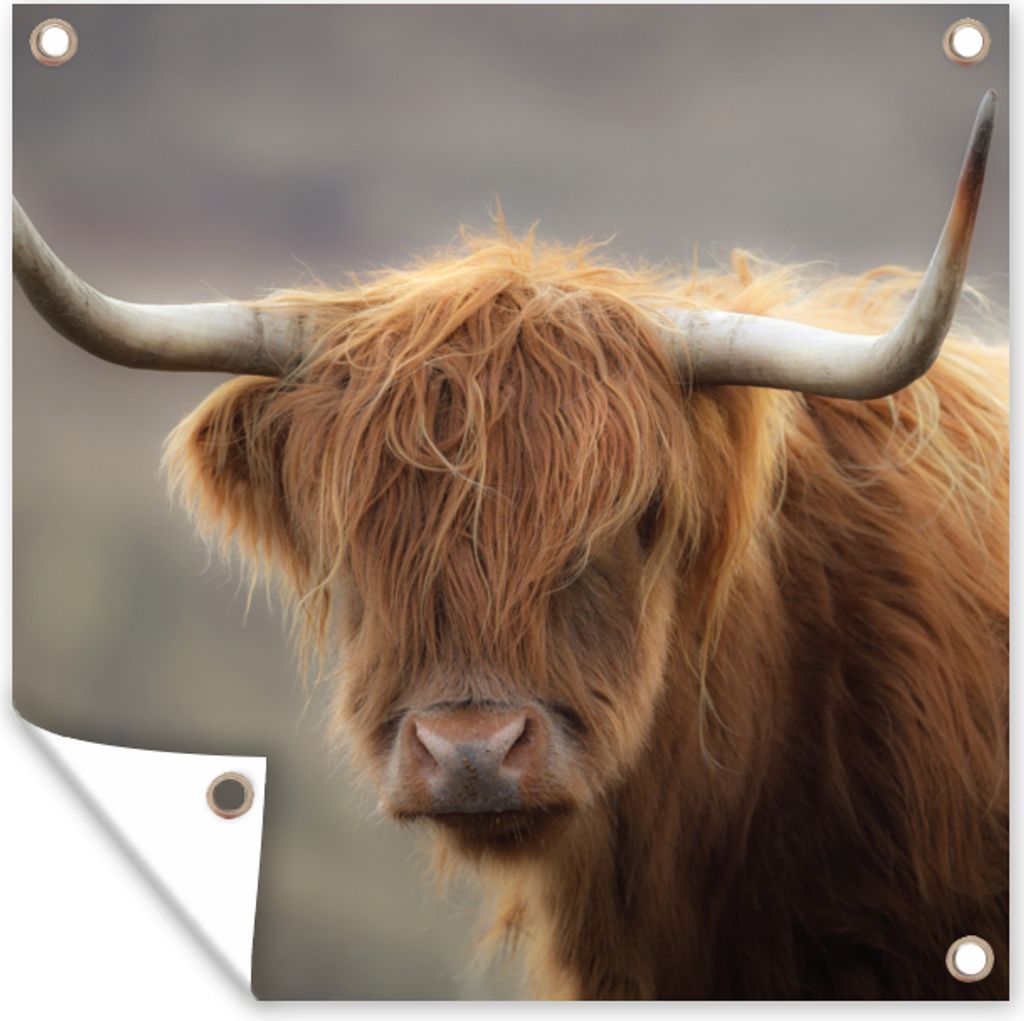 MuchoWow 100x100 cm Outdoor-Poster Gartendeko Sichtschutz Garten Poster für den Garten Schottischer Highlander - Licht - Porträt