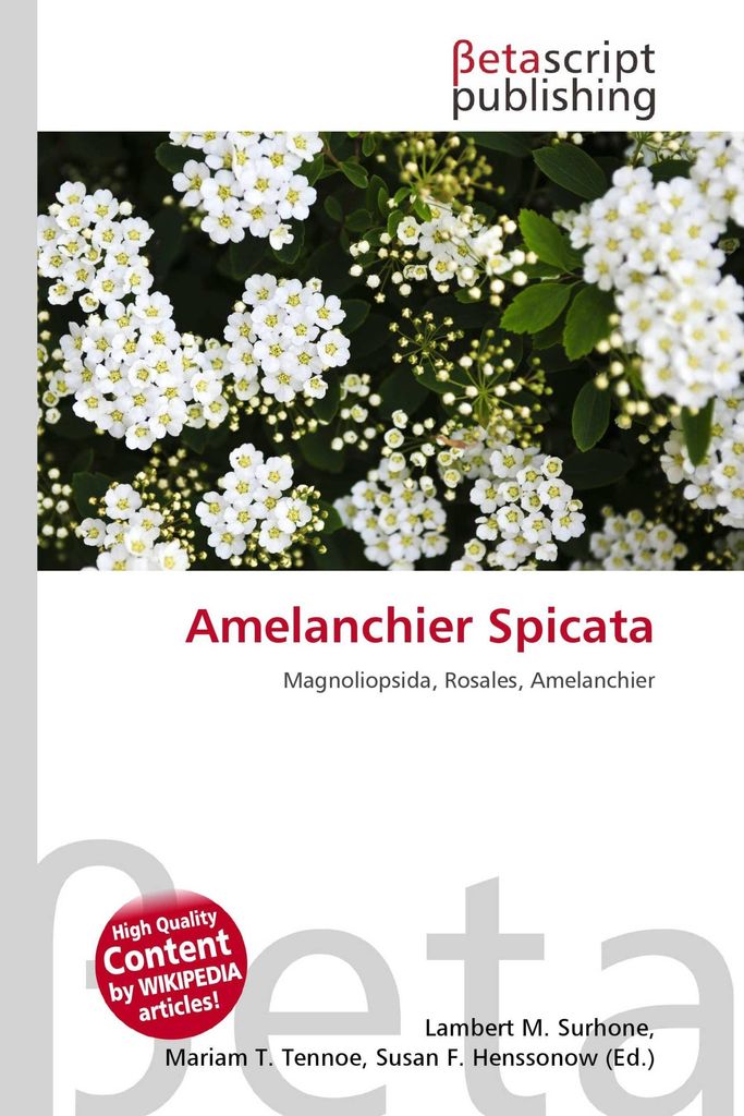 Amelanchier Spicata