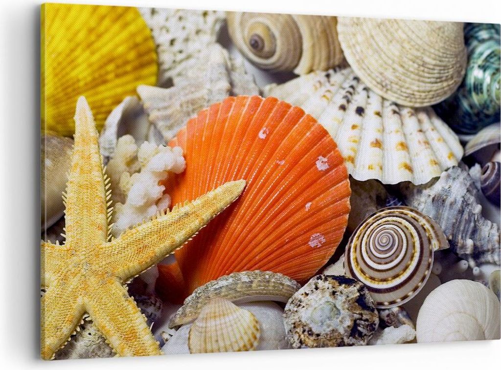 Bild auf Leinwand - Leinwandbild - Seashell Meer Strand Sand - 120x80cm - Wand Bild - Wanddeko - Leinwanddruck - Bilder - Kunstdruck - Wanddekorati...