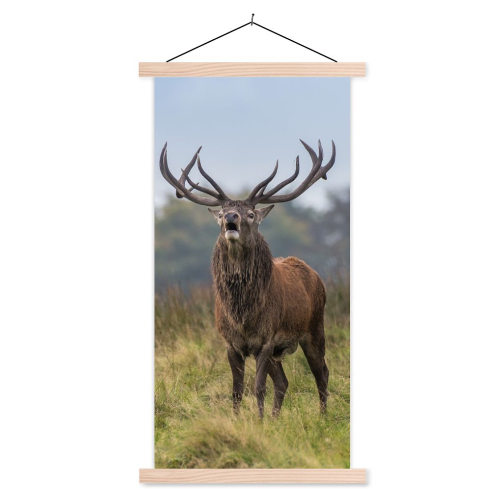 MuchoWow Textilposter Hirsche - Geweihe - Gras 60x120 cm mit holzfarbenen Rahmen - Holz