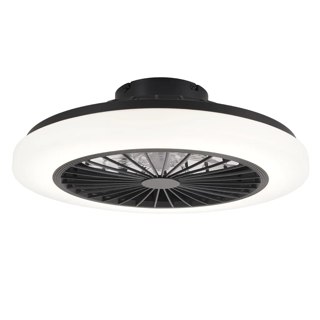 ZMH Ventilateur de Plafond avec Éclairage LED 40W et Télécommande - 10