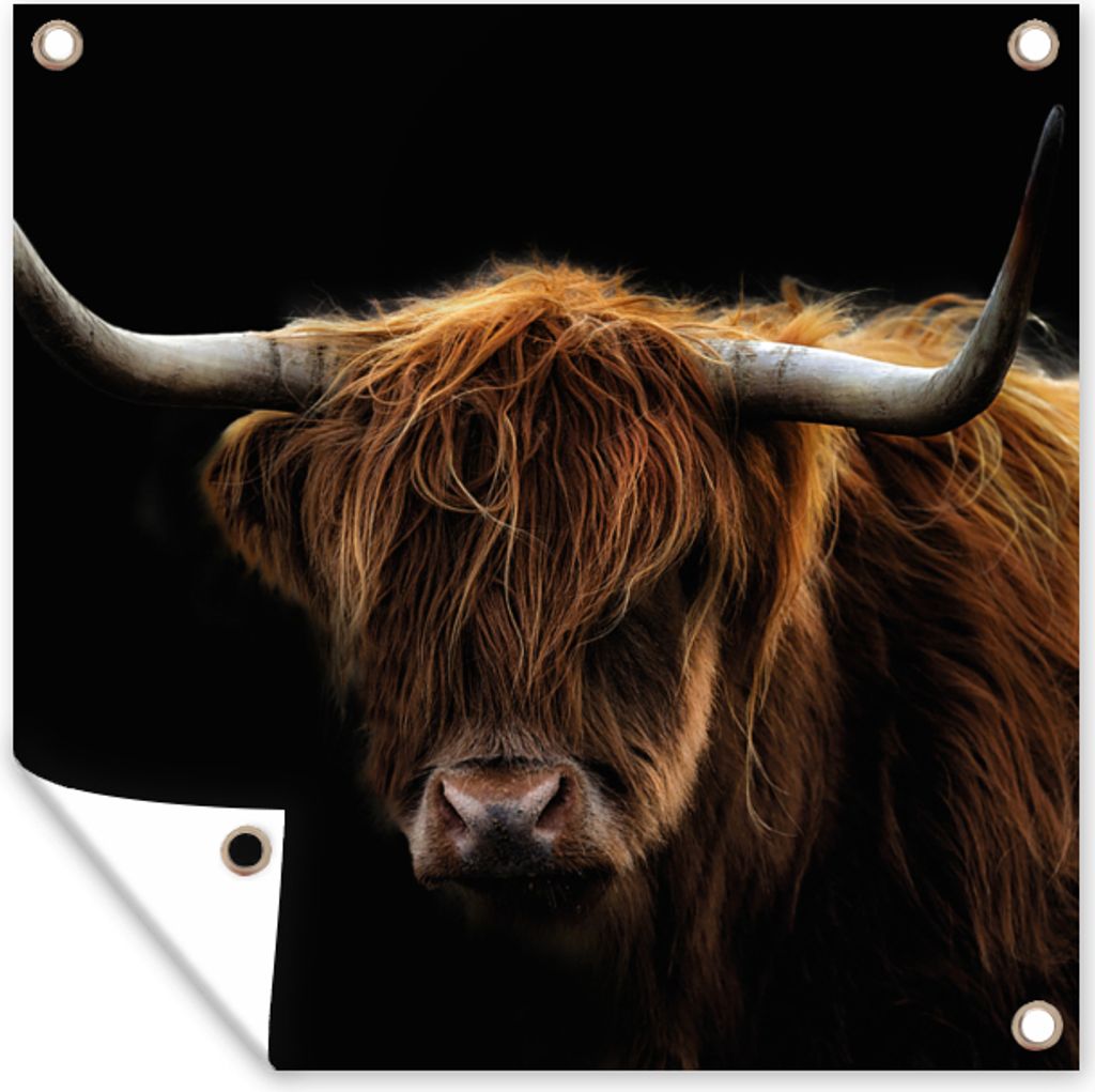 MuchoWow 50x50 cm Outdoor-Poster Gartendeko Sichtschutz Garten Poster für den Garten Schottischer Highlander - Hörner - Schwarz - Tiere - Natu...