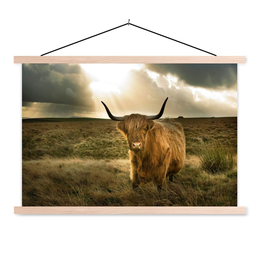 MuchoWow Textilposter Schottischer Hochländer - Sonne - Gras 60x40 cm mit holzfarbenen Rahmen - Bilder
