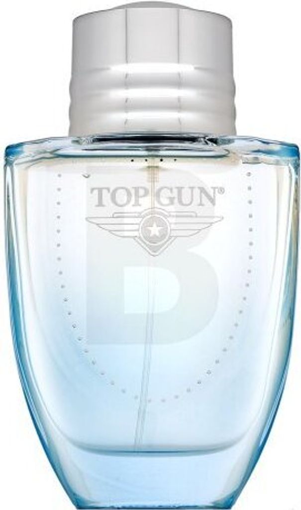 Top Gun Chevron Eau de Toilette für Herren 100 ml