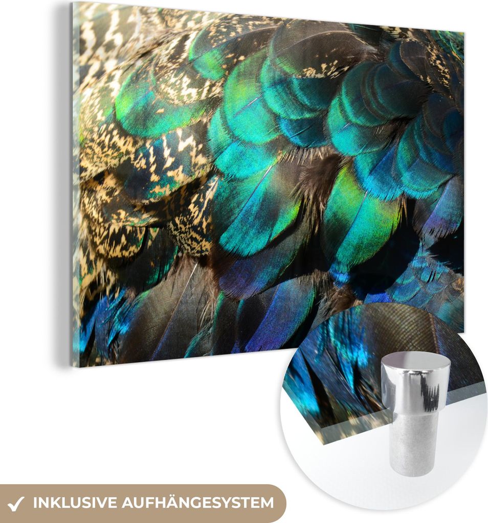 MuchoWow Glasbilder - Bilder auf Wandbild - Foto auf Glas Federn - Pfauenfedern - Pfau - Blau - Kunst 90x60 cm Wanddekoration aus Glas - Acrylglasb...
