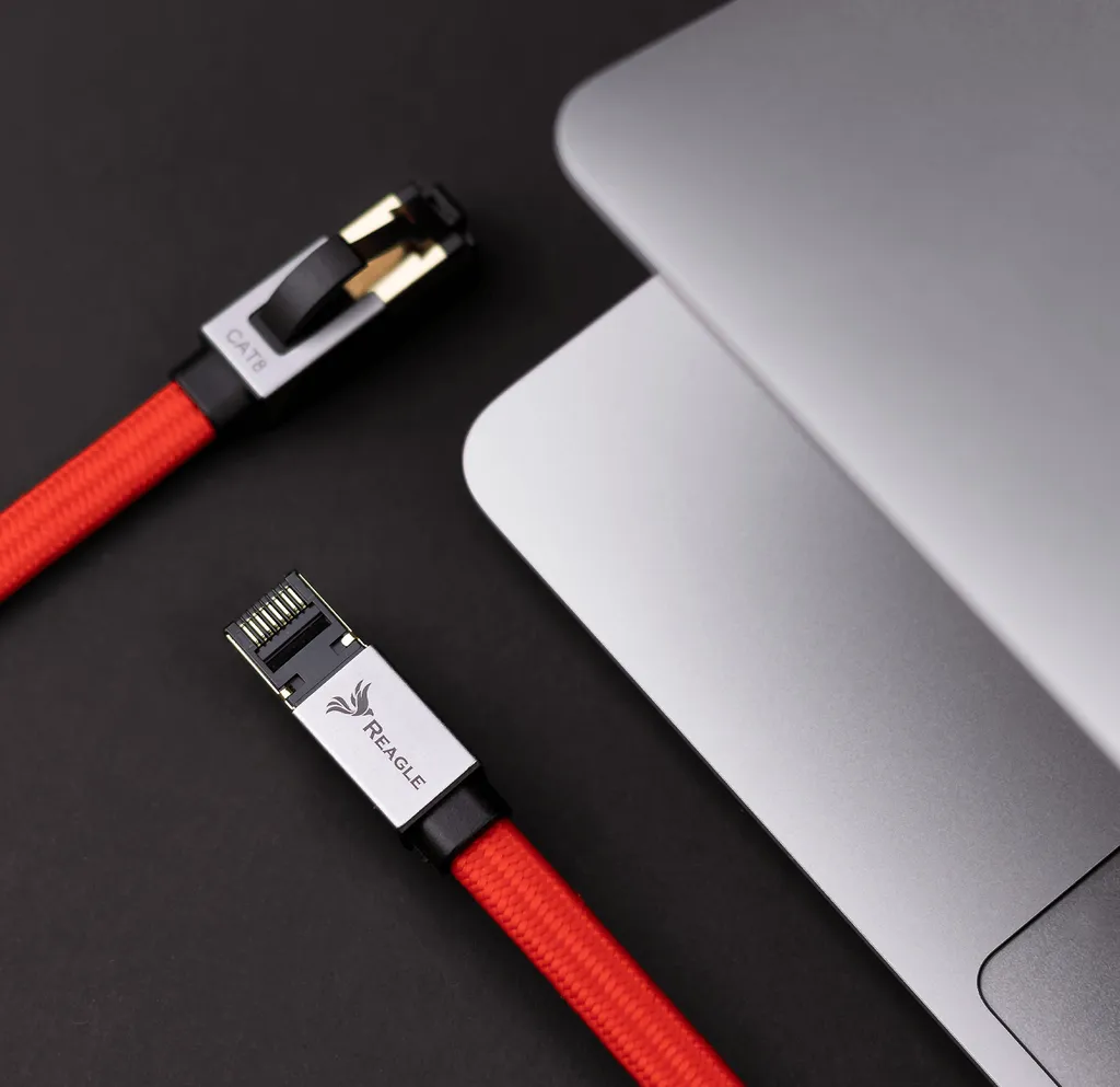 Cavo Internet Cat8 Reagle 2 Metri - Alta Velocità per Smart TV e PC - 6