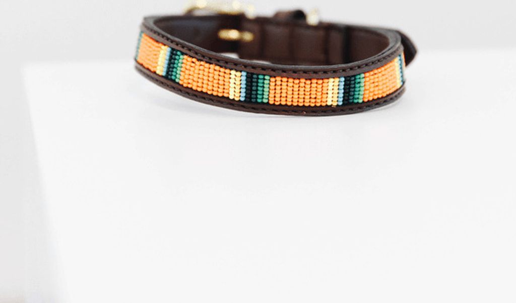 Kentucky Dogwear Halsband Pearls Pure Orange L
