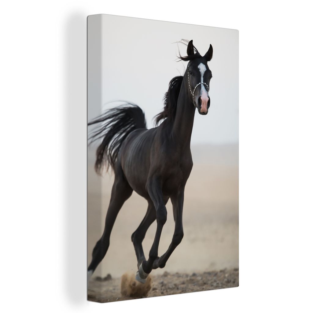 OneMillionCanvasses - Leinwand Bilder XXL - 90x140 cm - Sand - Arabisch - Pastell - Wand bilder - Wandbilder Wohnzimmer - Wandbilder Schlafzimmer -...