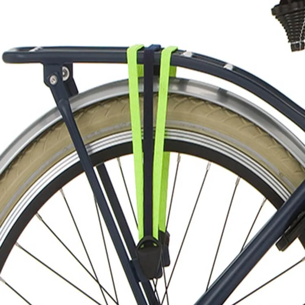 Porte-Bagages Vélo 24 Pouces Alpina Clubb pour Transport Scolaire