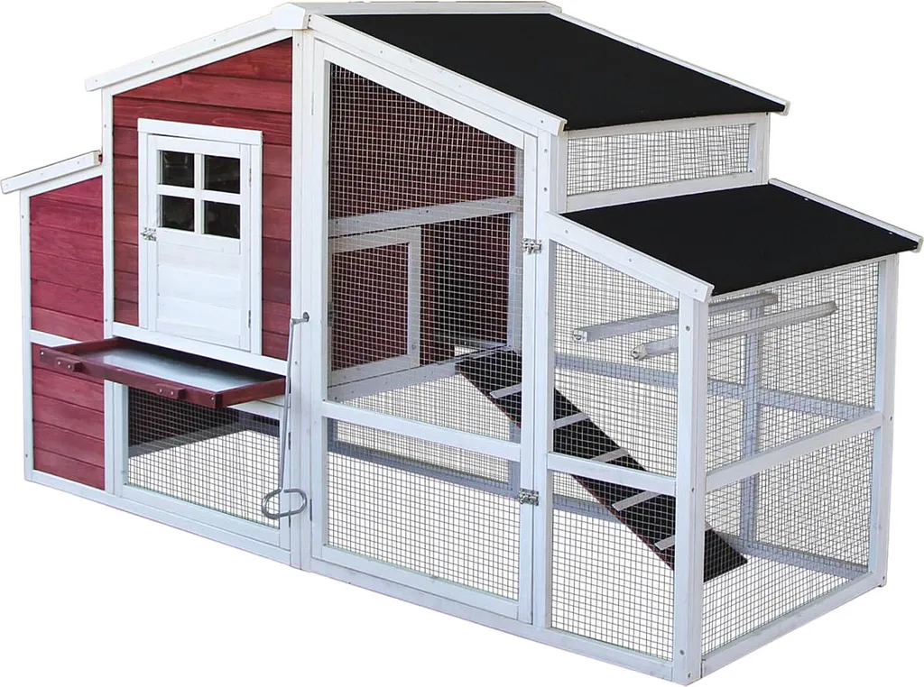 Abri de Jardin pour Poules et Volailles avec Grand Enclos de Promenade