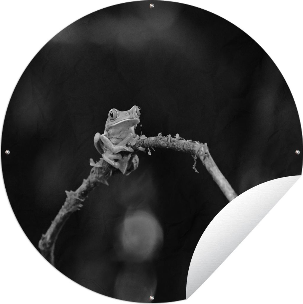 MuchoWow Gartenposter Outdoor-Poster Rund Rotaugen-Quecksilberfrosch auf Ast - schwarz und weiß Ø 120 cm Gartendeko Rundes Poster draußen