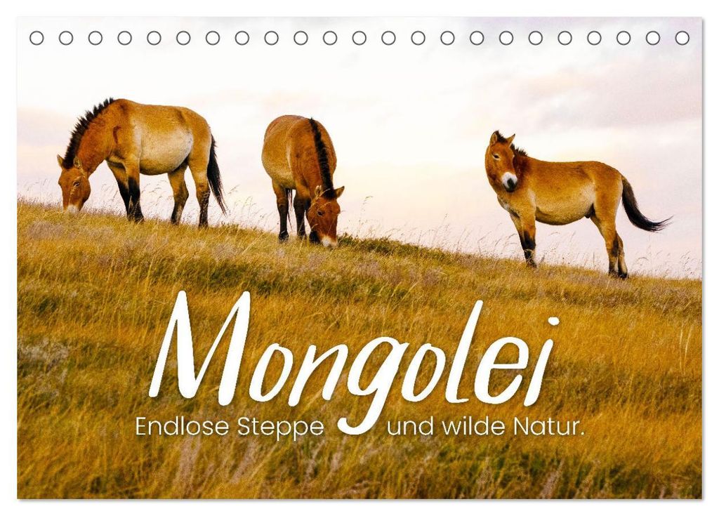 Mongolei - Endlose Steppe und wilde Natur. (Tischkalender 2027 DIN A5 quer), CALVENDO Monatskalender