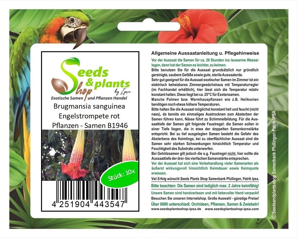 10x Brugmansia sanguinea Engelstrompete rot Pflanzen - Produktbild 