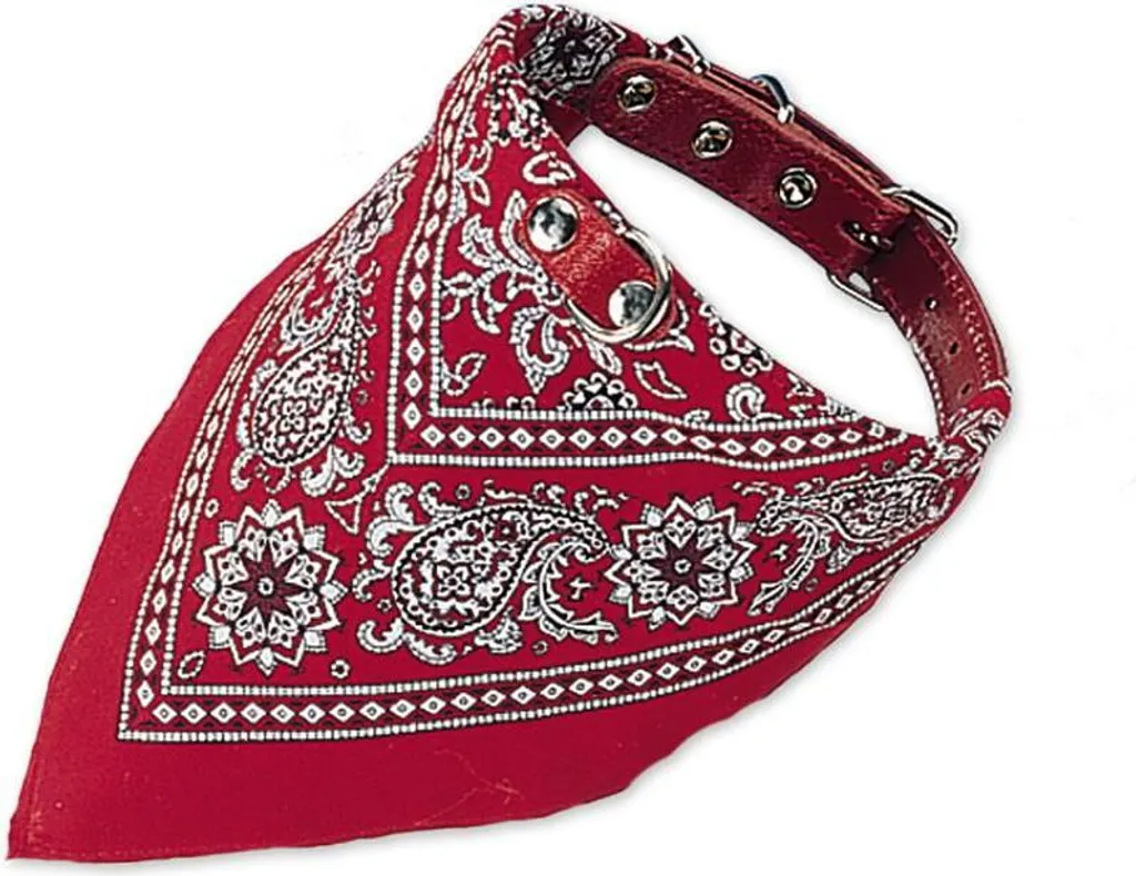 Collare Tecnico-Estetico L 40 cm con Sciarpa Rossa - Qualità e Misura L