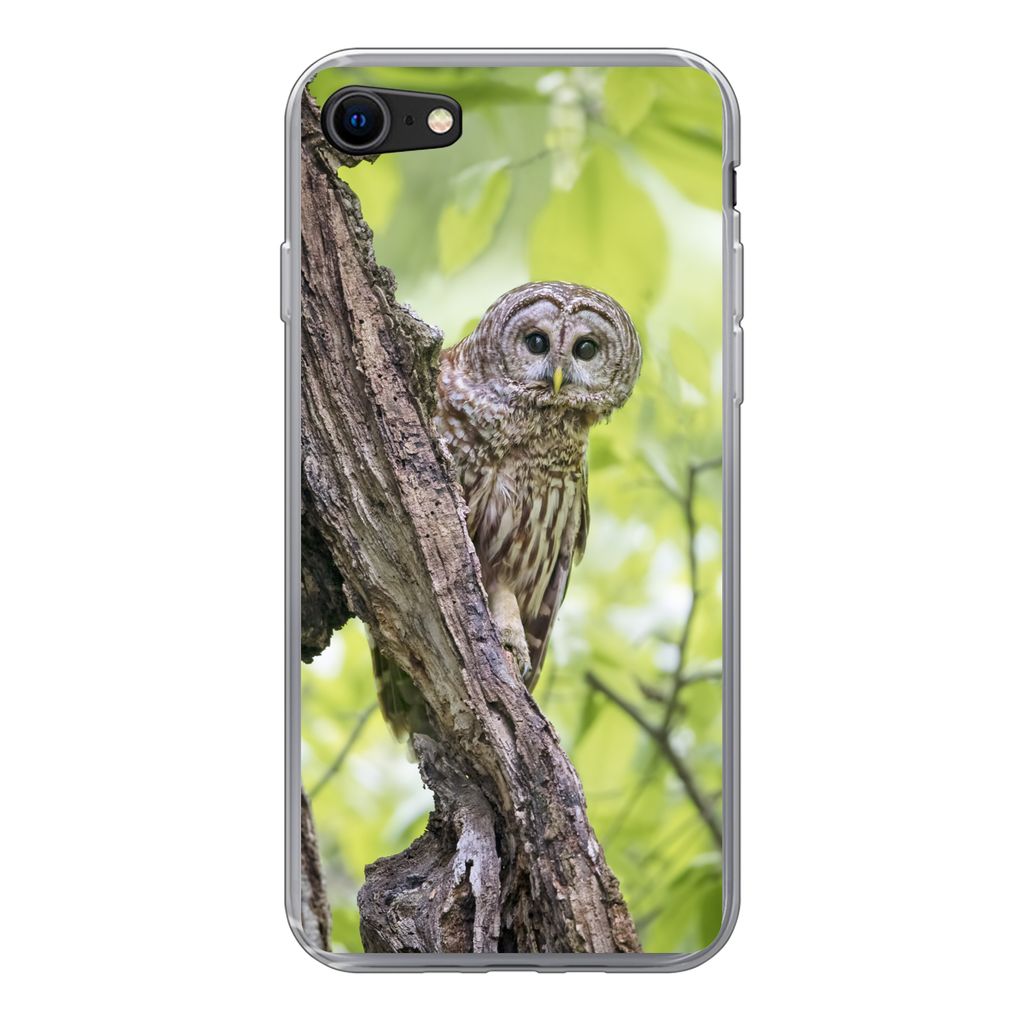 MuchoWow Handyhülle Schutzhülle Hülle für iPhone SE 2022 Eule - Wald - Licht Silikon Softcase Handy Hülle - Schutzhülle