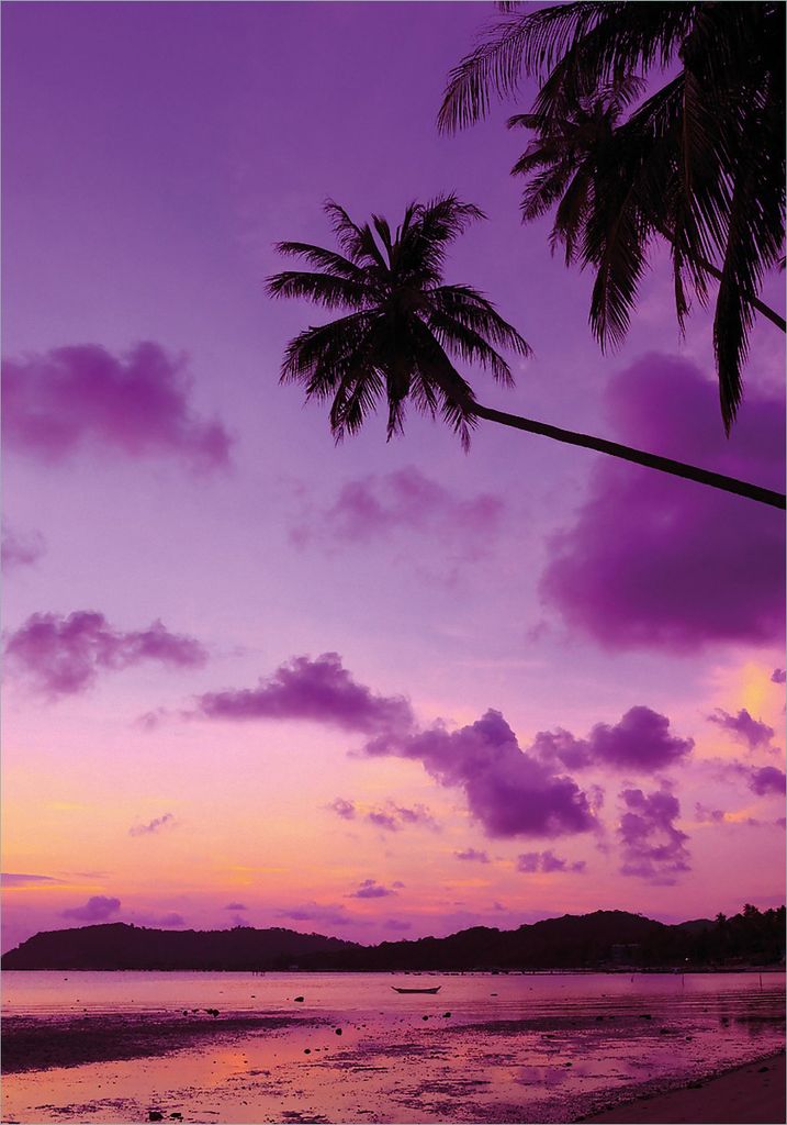 Wallario Poster - Sonnenuntergang unter Palmen Himmel in lila und orange, Kunstdruck Größe: 70 x 100 cm