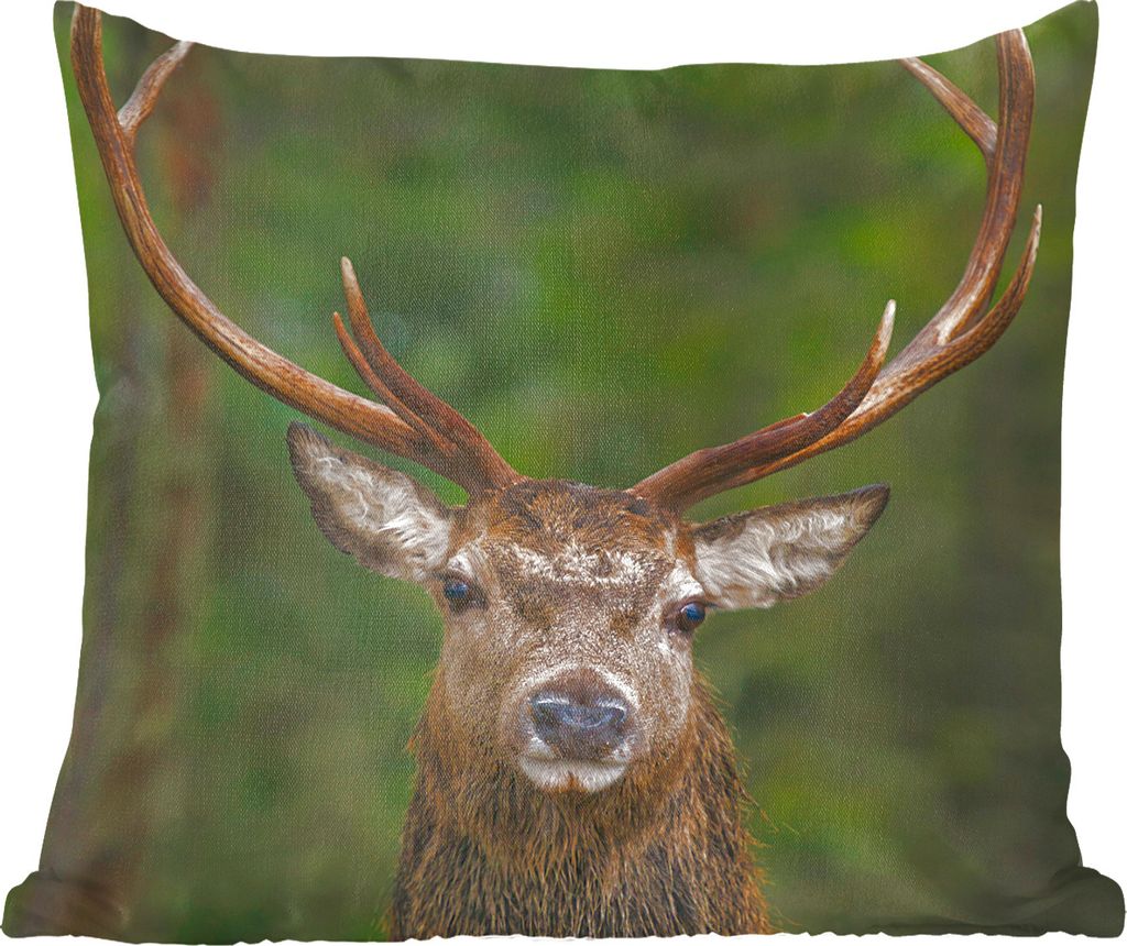 MuchoWow Zierkissen Sofakissen Wohnzimmer Dekokissen 60x60 cm Hirsch - Geweih - Natur - Sitzfläche - Foto Polster
