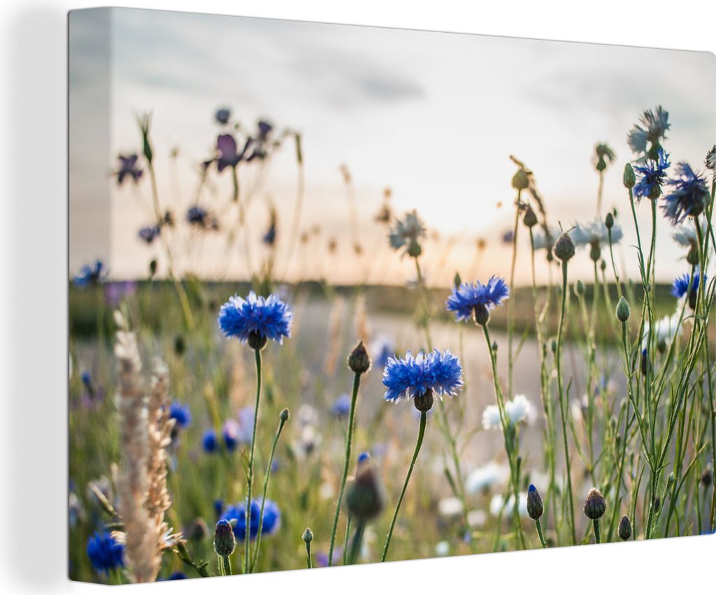 OneMillionCanvasses - Leinwandbilder - 140x90 cm, Blumen - Sommer - Kornblume - Blau - Sonne - Wolken, Wandbilder Kunstdruck Wanddekoration - Fot...