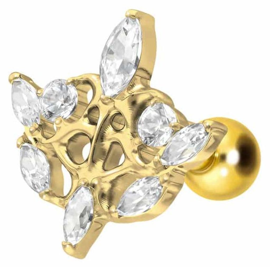 Ohrpiercing Titan Ohrpiercing mit Innengewinde GOTISCHES DESIGN Gold Stablänge: 8mm