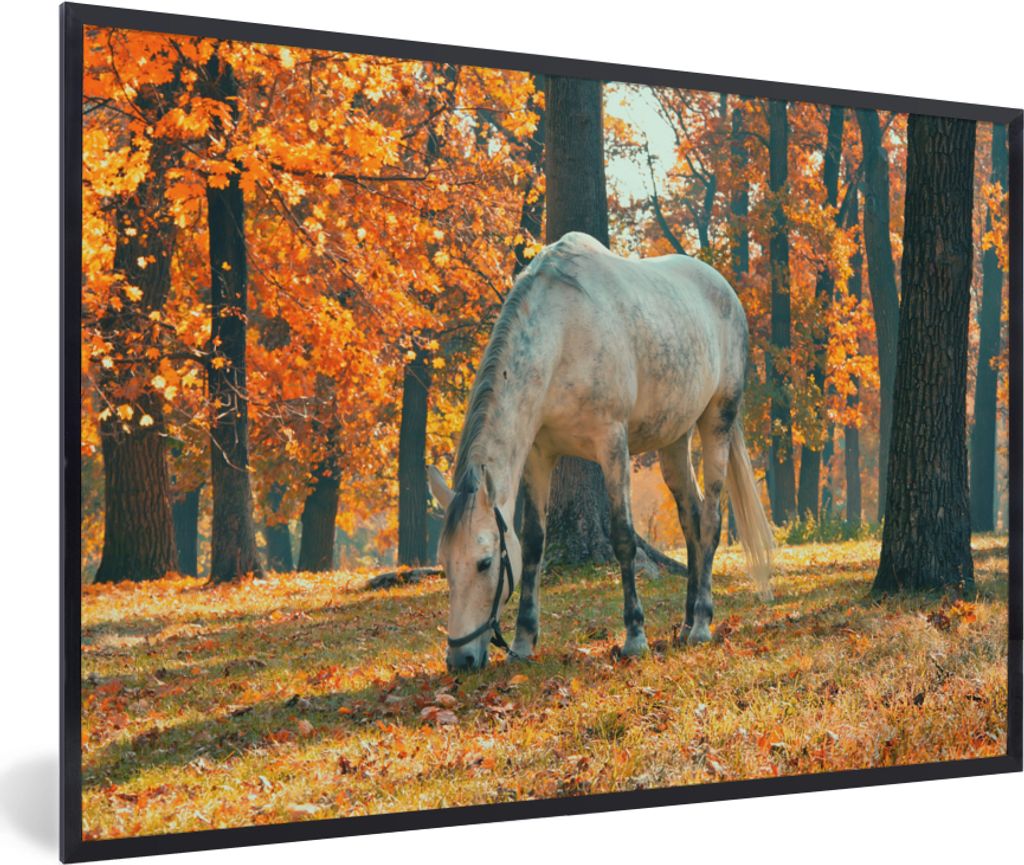 MuchoWow MuchoWow Gerahmtes Poster Pferd - Herbst - Wald 30x20 cm - Poster mit zchwarzem Bilderrahmen - Kunstdruck - Bild-Poster