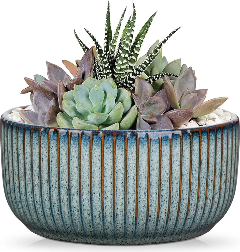 Pot à bonsaï en céramique nervurée bleu de 14 cm avec soucoupe assortie