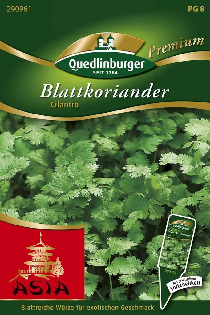 Quedlinburger Saatgut - Koriander Blatt Cilantro - Samen - Produktbild 